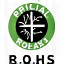 RoHS compliant logo
